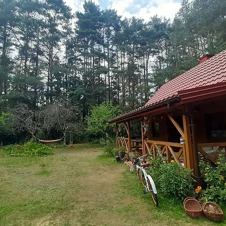 Dom wakacyjny Pasieka Dobro I Smak Borzymy