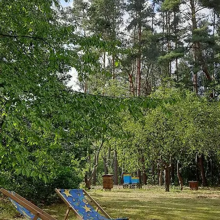 Pasieka Dobro I Smak Dom wakacyjny