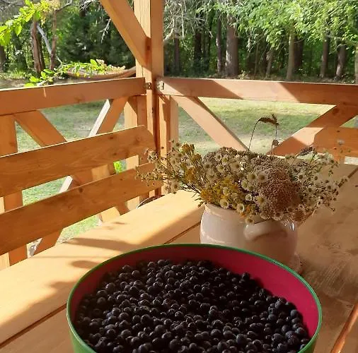 Pasieka Dobro I Smak Holiday home Borzymy