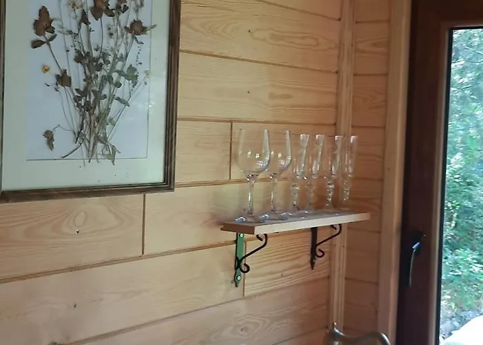 Pasieka Dobro I Smak Borzymy